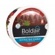 BOLDAIR TARRINA DESTRUCTOR DE OLORES