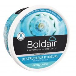 BOLDAIR TARRINA DESTRUCTOR DE OLORES